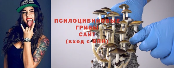 MDMA Новодвинск