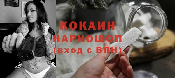 2c-b Новозыбков