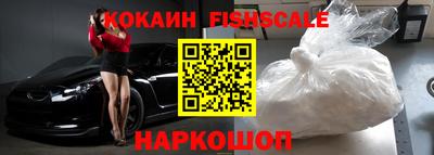 стафф Кингисепп