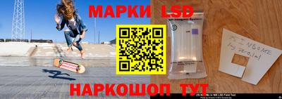 стафф Кингисепп