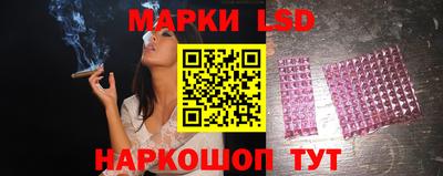 стафф Кингисепп