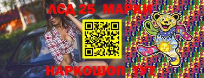 стафф Кингисепп