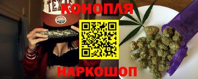 стафф Кингисепп