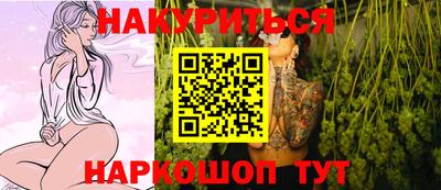 стафф Кингисепп