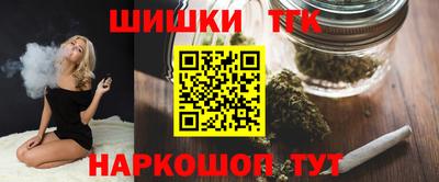 стафф Кингисепп