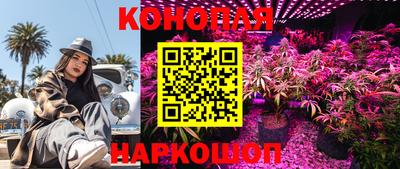 трава Кимры