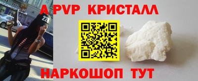 стафф Кингисепп