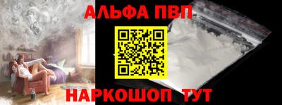 стафф Кингисепп