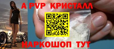 стафф Кингисепп
